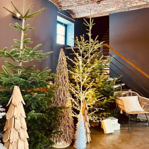 Entrée du Cocon d'Hiver avec une décoration en sapins naturels et en bois